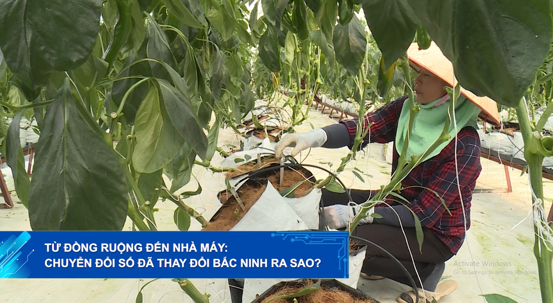 Từ ruộng đồng đến nhà máy. Chuyển đổi số đã thay đổi Bắc Ninh ra sao